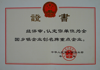 全國鄉(xiāng)鎮(zhèn)企業(yè)創(chuàng)名牌重點(diǎn)企業(yè)